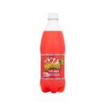 BIGGA Fruit Punch 12X600ml