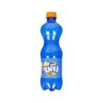 FANTA shokata 1x12x500ml