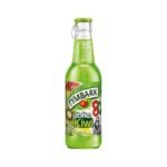 TYMBARK apple kiwi 24X250ml
