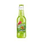 TYMBARK cactus apple lime 24X250ml