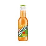 TYMBARK mango 24X250ml