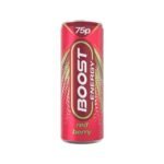 BOOST Red Berry PM £0.75 24X250ml