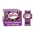 RIBENA Blackcurrant 24x250ml