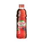 JANA Ice Tea Forest Fruit 6X0.5L