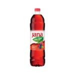 JANA Ice Tea Forest Fruit 6X1.5L