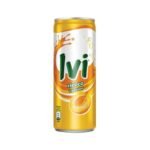 IVI apricot 1x24x330ml